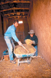 Building Global Villages: Volunteer and Travel With Builders Without Borders Image